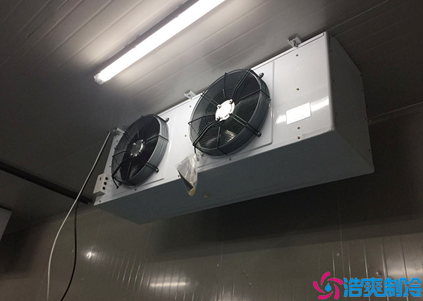 微型气调保鲜水蜜桃在线视频