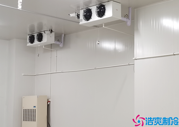 果蔬气调水蜜桃在线视频