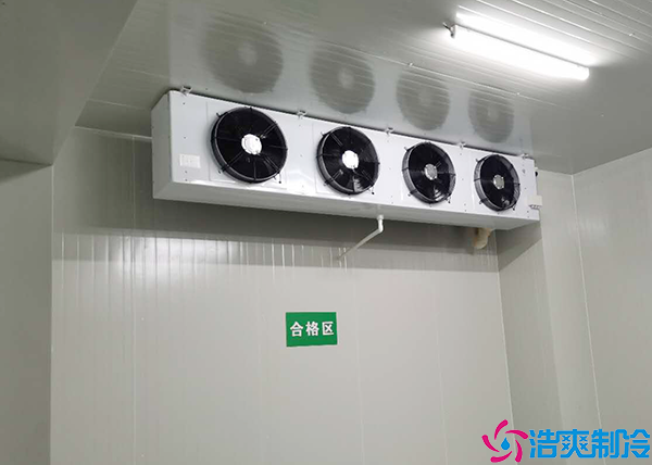 物流水蜜桃在线视频