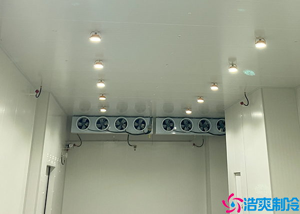 食品水蜜桃在线视频