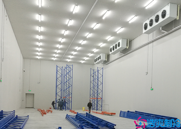 果蔬气调水蜜桃在线视频