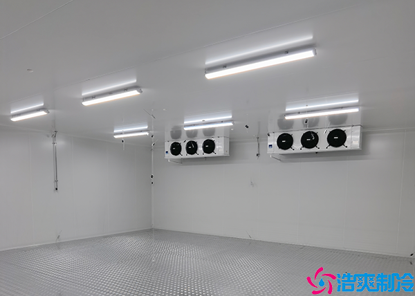 食品小型水蜜桃在线视频