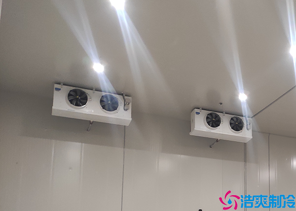 花卉水蜜桃在线视频