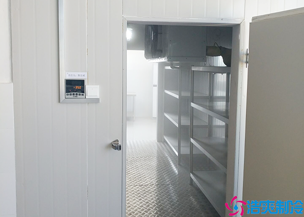 牛肉小型水蜜桃在线视频