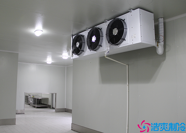 牛肉小型水蜜桃在线视频