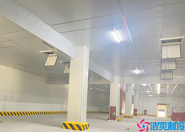 大型水蜜桃在线视频