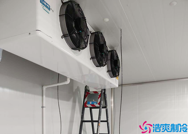 花卉水蜜桃在线视频制冷设备