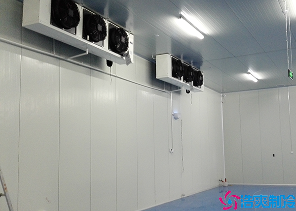 食品速冻水蜜桃在线视频