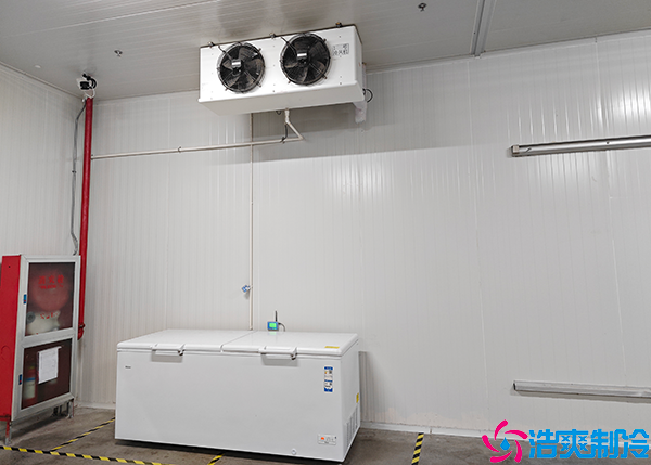 食品水蜜桃在线视频