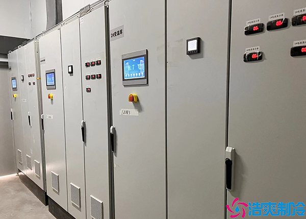 大型食品水蜜桃在线视频设备