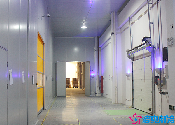 气调水蜜桃在线视频