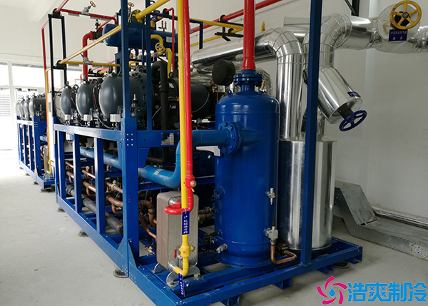 鲜花店小型水蜜桃在线视频