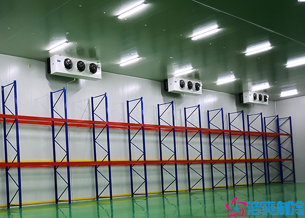 防爆水蜜桃在线视频