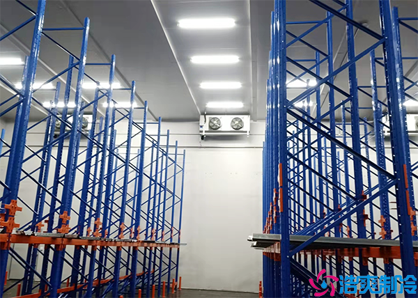 大型水蜜桃在线视频