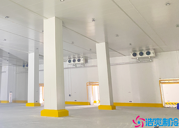 物流水蜜桃在线视频