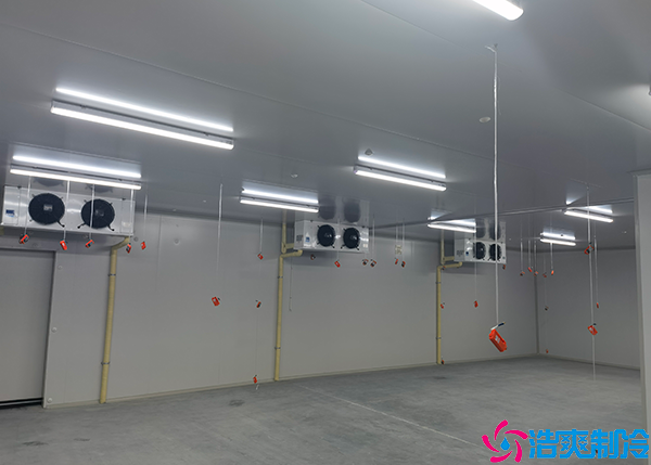 酒店水蜜桃在线视频