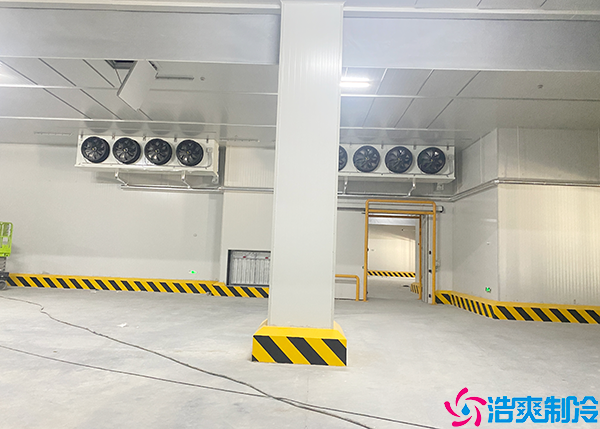 大型低温水蜜桃在线视频