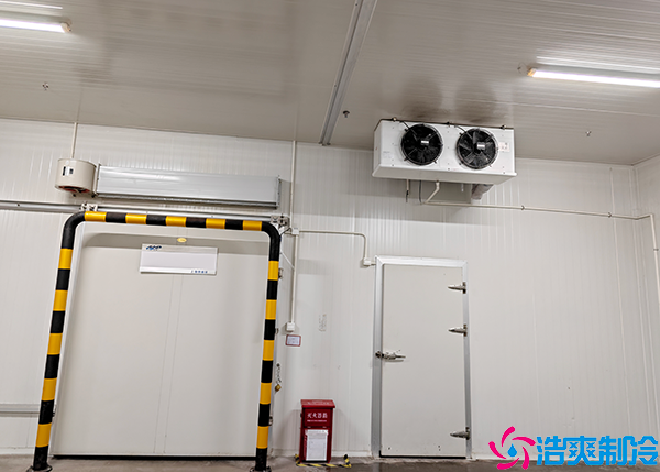 小型物流水蜜桃在线视频