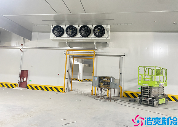 食品水蜜桃在线视频