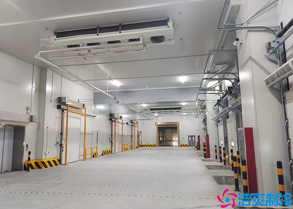 牛肉水蜜桃在线视频