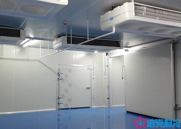 大型食品水蜜桃在线视频