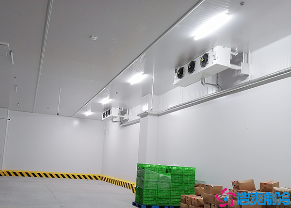 水果气调水蜜桃在线视频