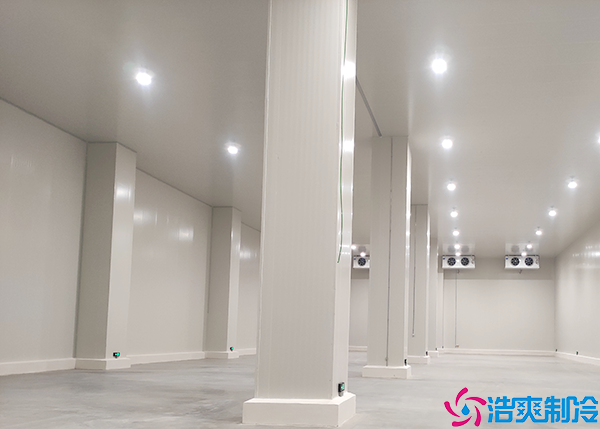 大型农产品水蜜桃在线视频