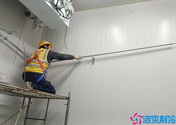 防爆水蜜桃在线视频