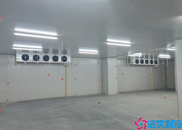 食品加工水蜜桃在线视频