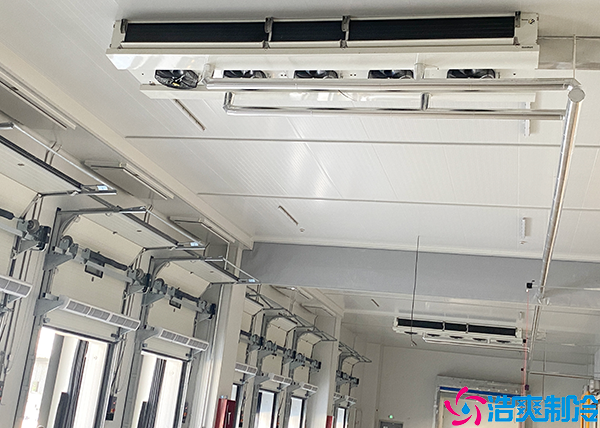 食品速冻水蜜桃在线视频