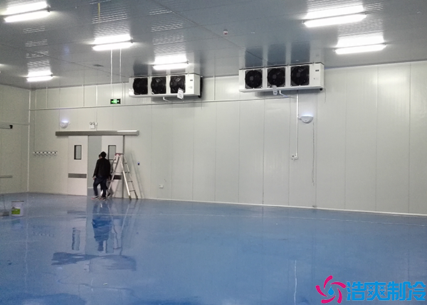 小型食品速冻水蜜桃在线视频设备