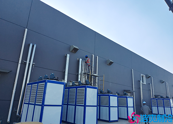 小型食品速冻水蜜桃在线视频设备