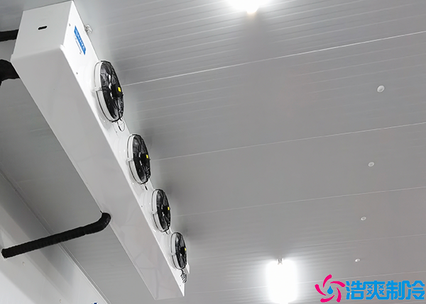 生鲜物流水蜜桃在线视频