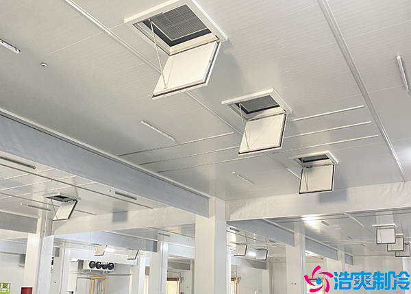 大型食品保鲜水蜜桃在线视频