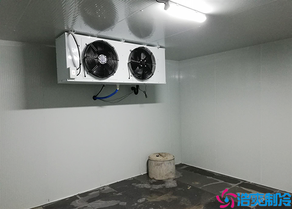 微型果蔬水蜜桃在线视频