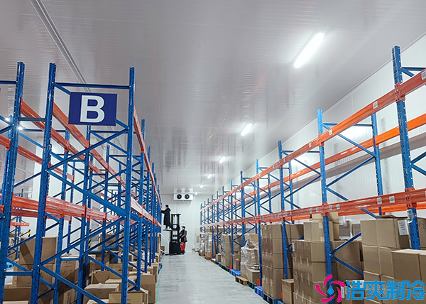 食品加工水蜜桃在线视频