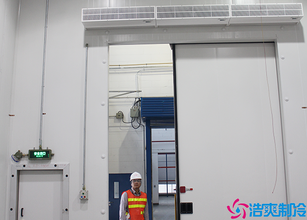 双温水蜜桃在线视频