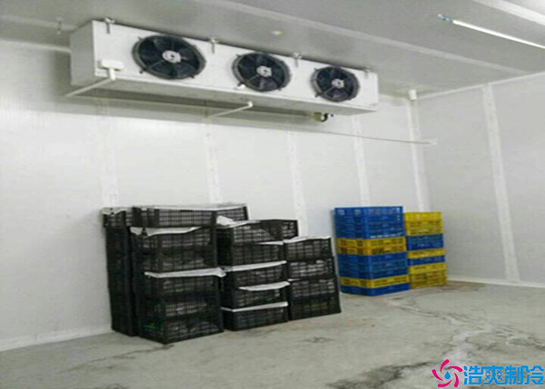 广西20平方气调水蜜桃在线视频.jpg