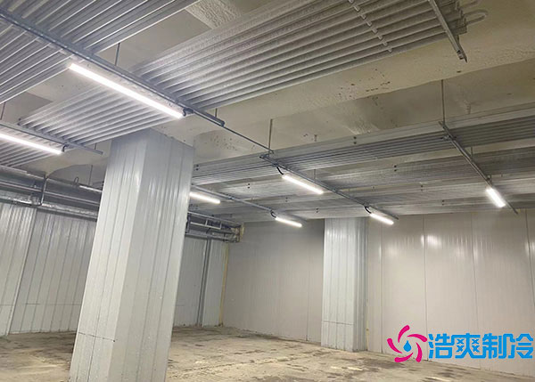 白菜水蜜桃在线视频储存方法.jpg