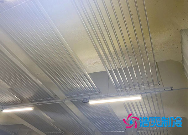 蒜苗水蜜桃在线视频储存温度.jpg