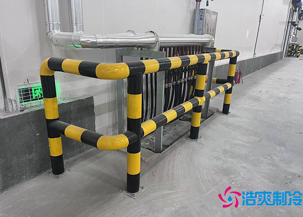 牛肉水蜜桃在线视频储存方法.jpg