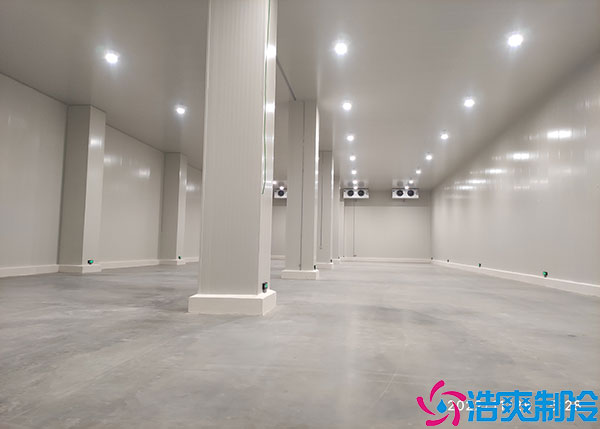 果蔬保鲜水蜜桃在线视频建造厂家.jpg
