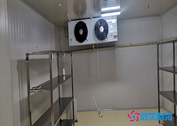 海南冷冻肉品水蜜桃在线视频建造标准.jpg