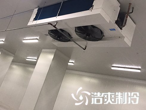 河北周黑鸭新工厂项目1#车间水蜜桃在线视频建造