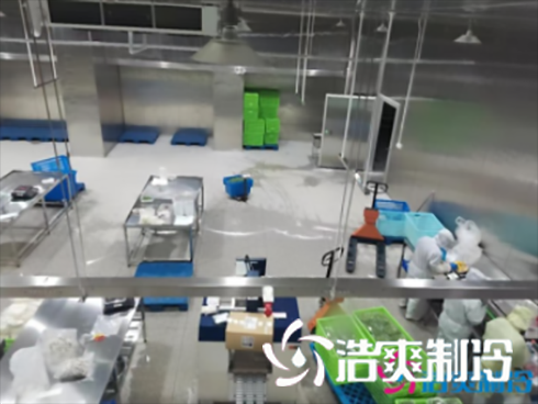 上海儒汇净菜中央厨房水蜜桃在线视频建造工程