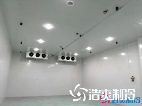 上海巴洛美巧克力食品水蜜桃在线视频建造设计