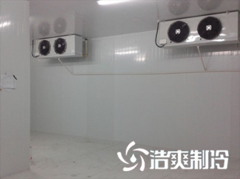 浙江绍兴养乐多乳制品水蜜桃在线视频建造安装