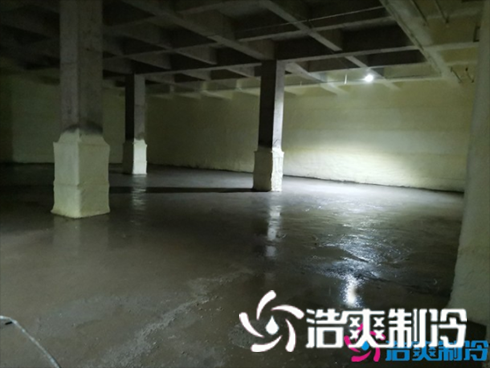 食品速冻水蜜桃在线视频建造安装