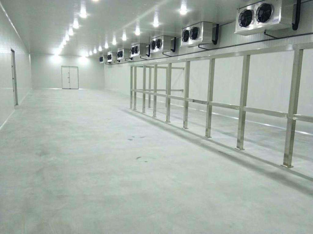 蜜桃视频观看在线制冷、海鲜水蜜桃在线视频