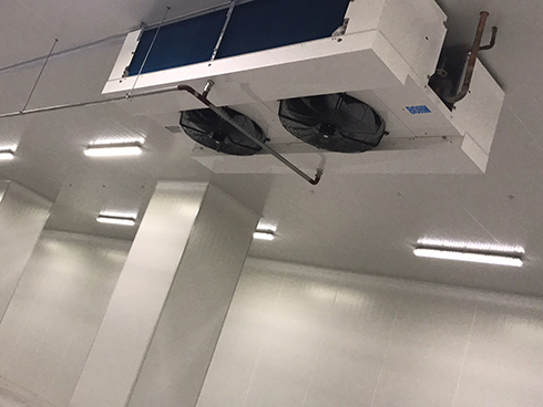 河北周黑鸭新工厂项目1#车间水蜜桃在线视频建造工程案例